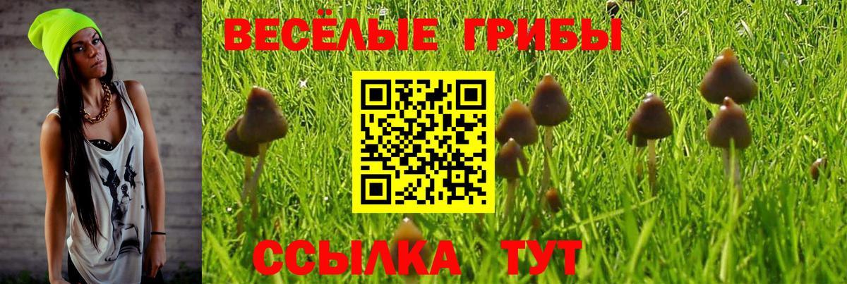 Галлюциногенные грибы Psilocybe  Псилоцибиновые грибы мухоморы  Вход с VPN  Нефтекамск 
